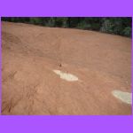 Foot Prints.jpg